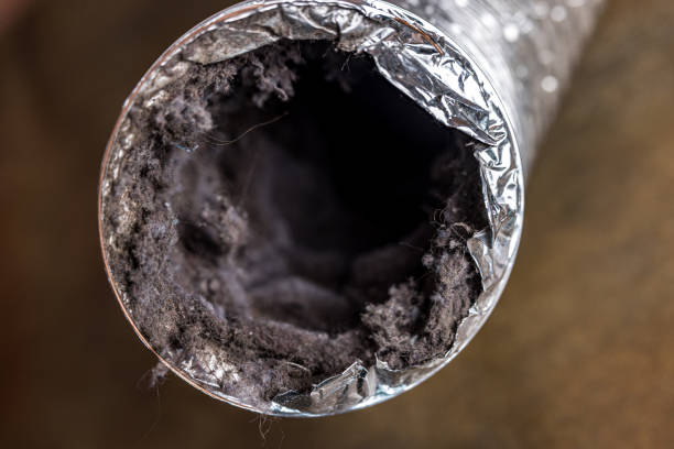 Best Affordable Air Duct Cleaning  in Amery, WI